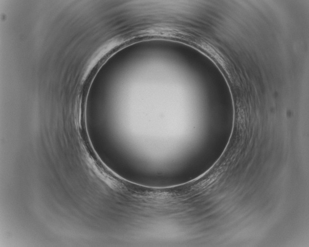 X0000087381131200704271550