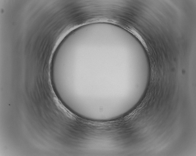 X0000087381132200704271550