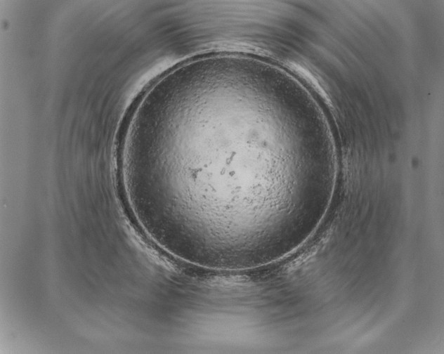 X0000087381133200704271550