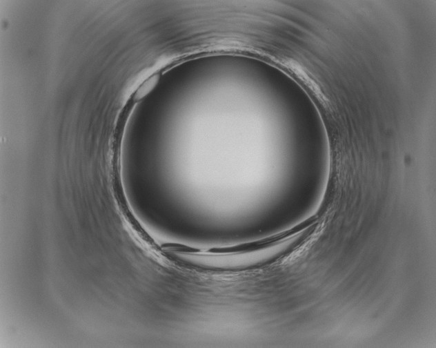 X0000087381134200704271550