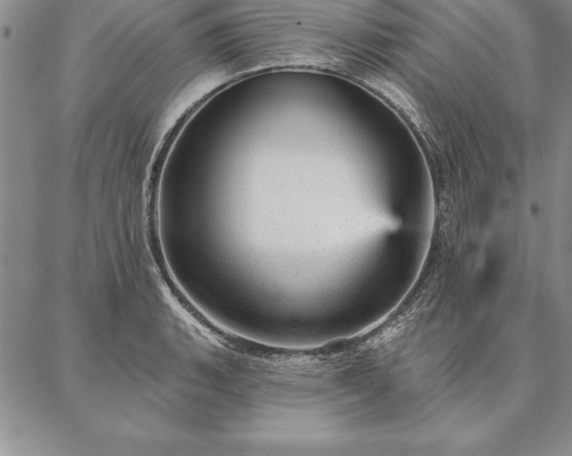 X0000087381135200704271551