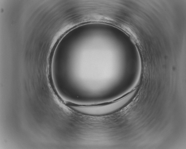 X0000087381136200704271551