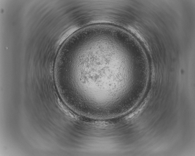 X0000087381137200704271551