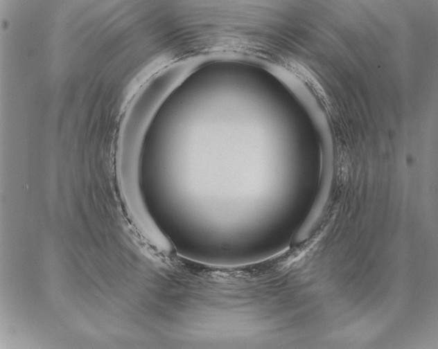 X0000087381138200704271551