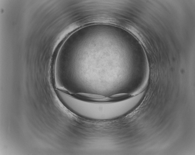 X0000087381139200704271551