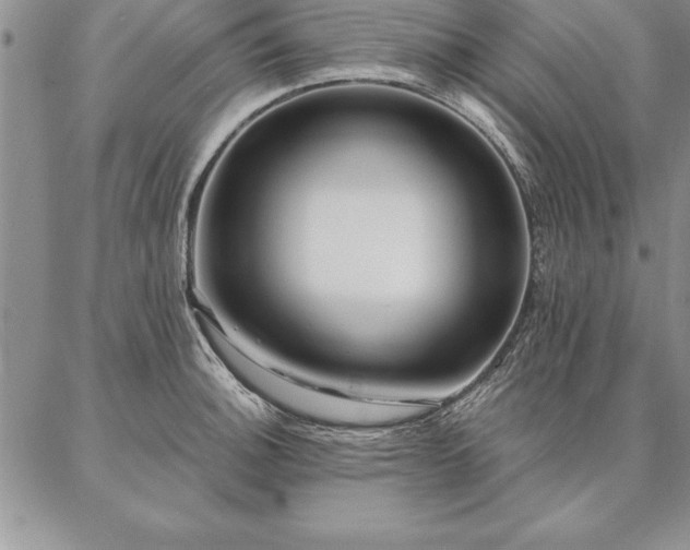 X0000087381140200704271551