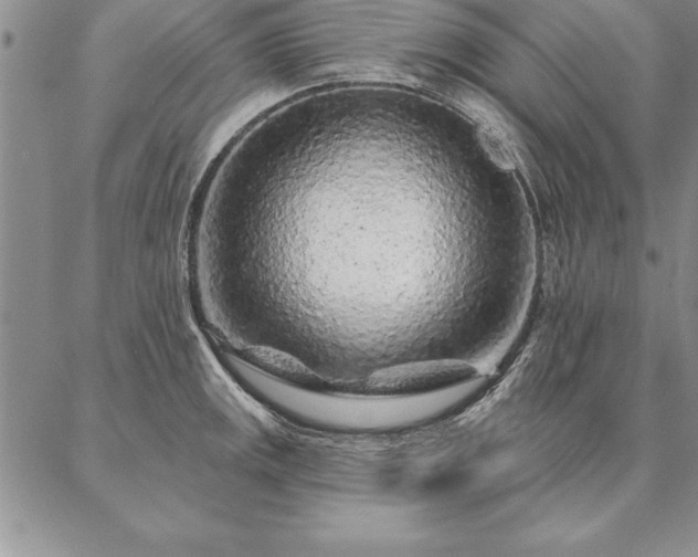 X0000087381141200704271551