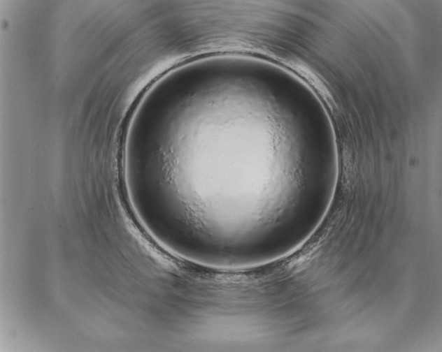 X0000087381142200704271551