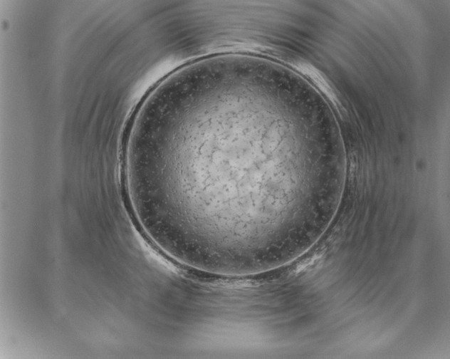 X0000087381143200704271551