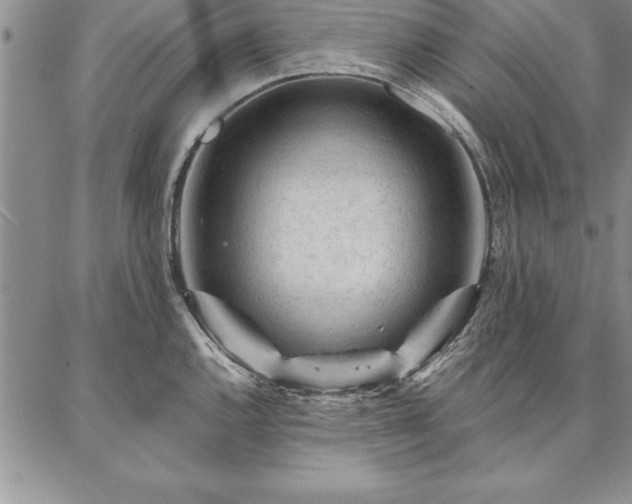 X0000087381144200704271551