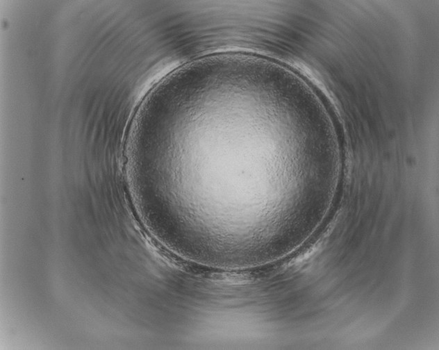 X0000087381145200704271551