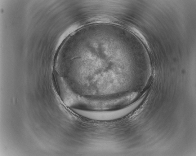 X0000087381146200704271551