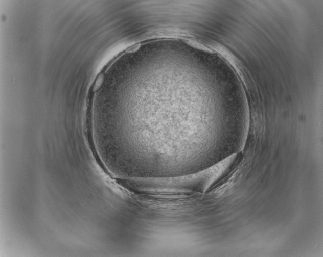 X0000087381147200704271551