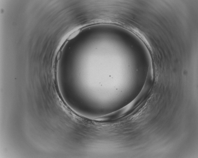 X0000087381148200704271551