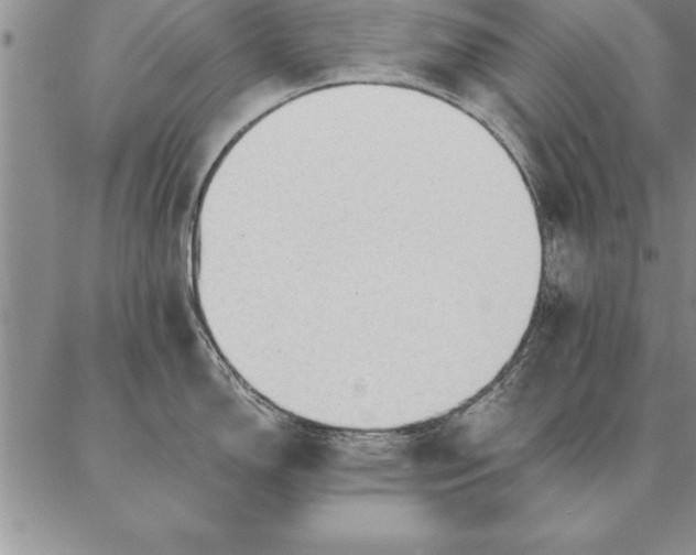 X0000087381150200704271551