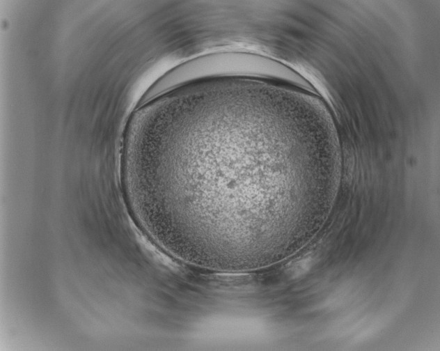 X0000087381151200704271551