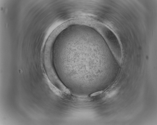 X0000087381152200704271551