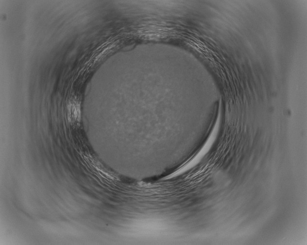 X0000087381155200704271550