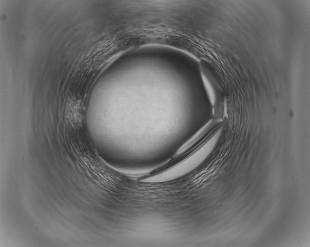 X0000087381156200704271550