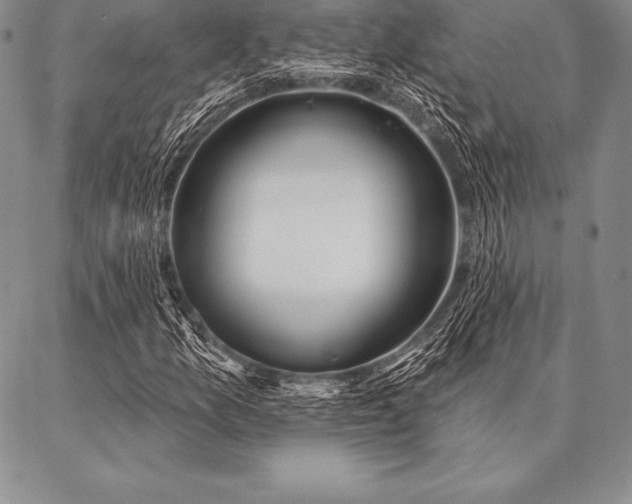 X0000087381157200704271550