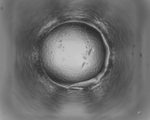 X0000087381159200704271550