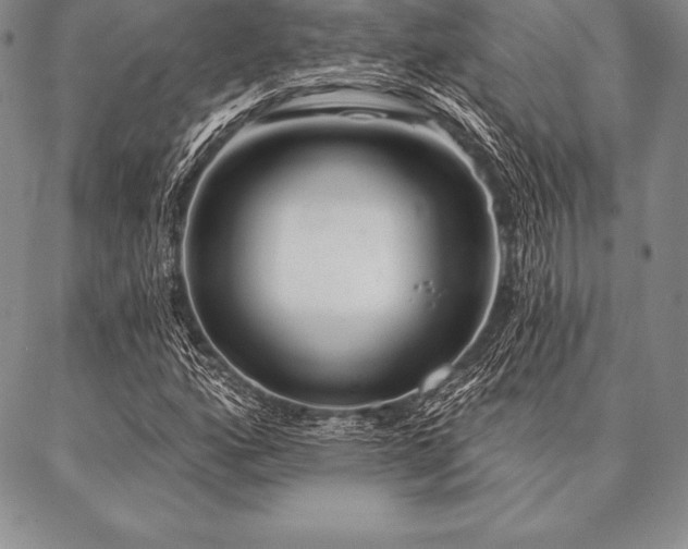 X0000087381160200704271550