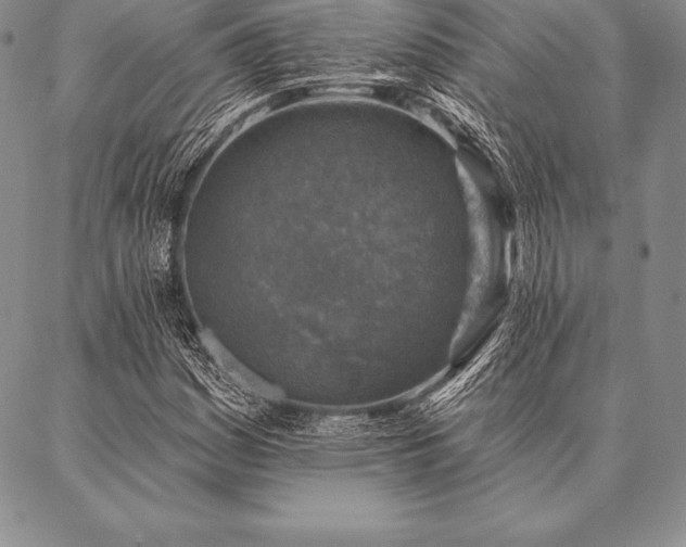 X0000087381161200704271550