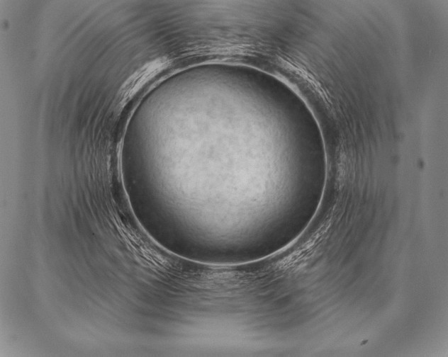 X0000087381162200704271550