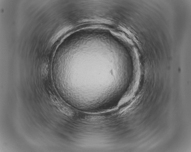 X0000087381163200704271550