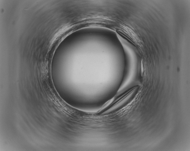 X0000087381164200704271550