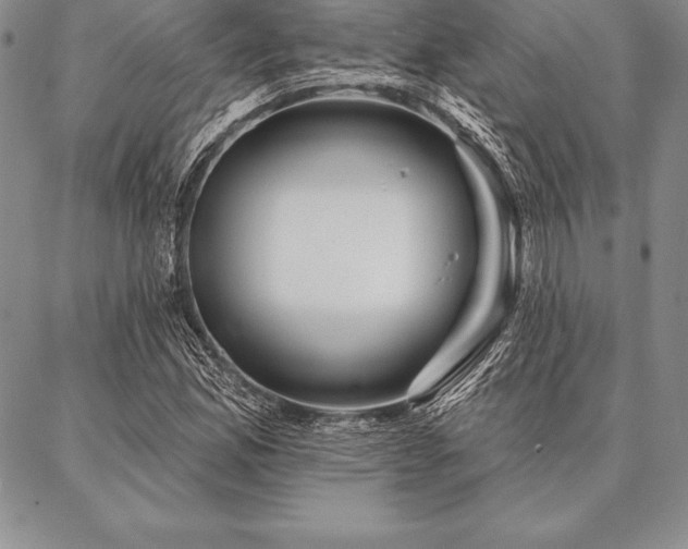 X0000087381165200704271550