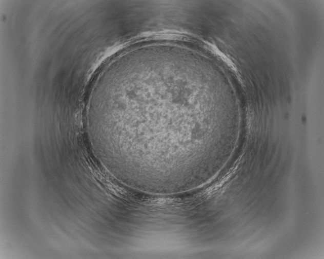 X0000087381166200704271550