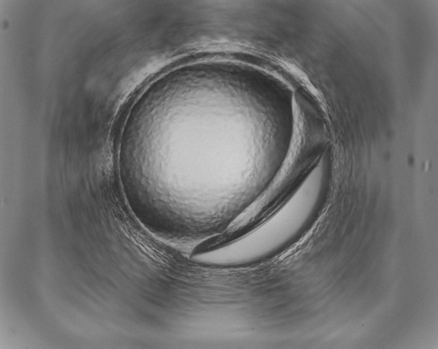 X0000087381167200704271550