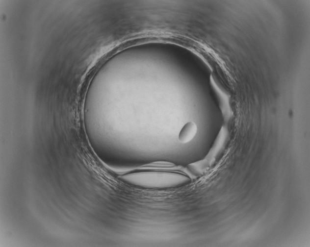 X0000087381168200704271550