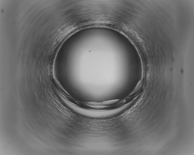 X0000087381169200704271550