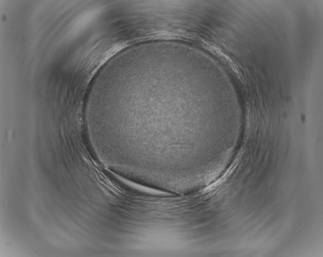 X0000087381170200704271550