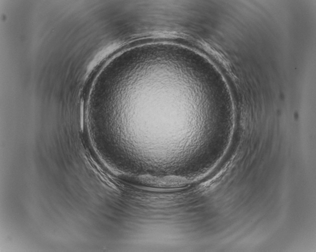 X0000087381171200704271550