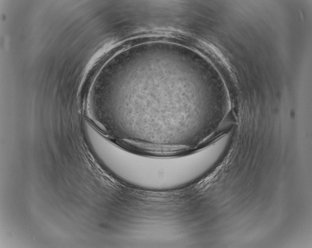 X0000087381172200704271550