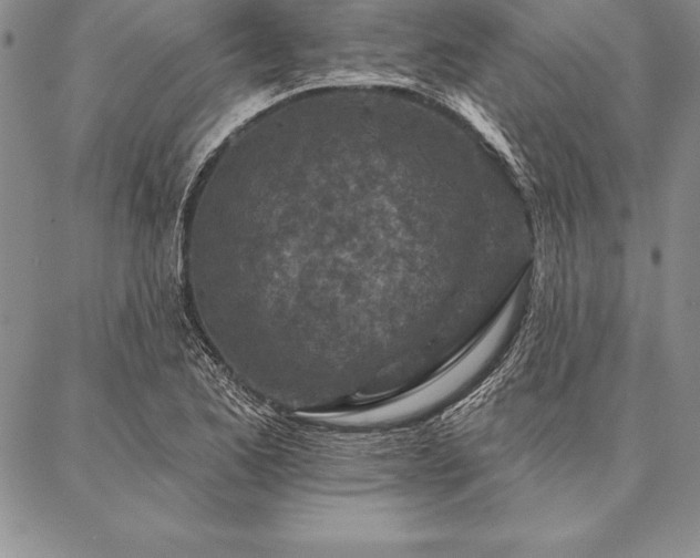 X0000087381173200704271550