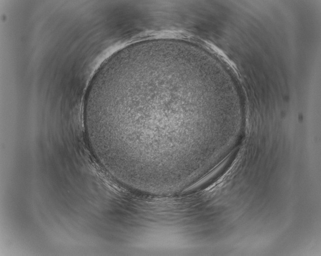 X0000087381174200704271550