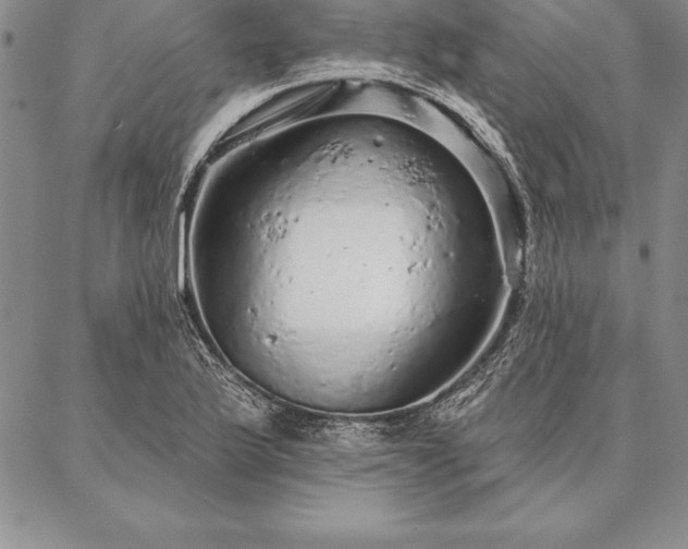 X0000087381175200704271550