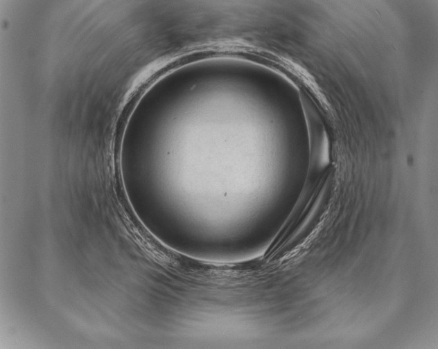 X0000087381176200704271550