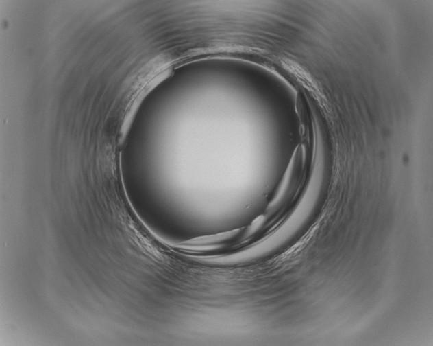 X0000087381177200704271550