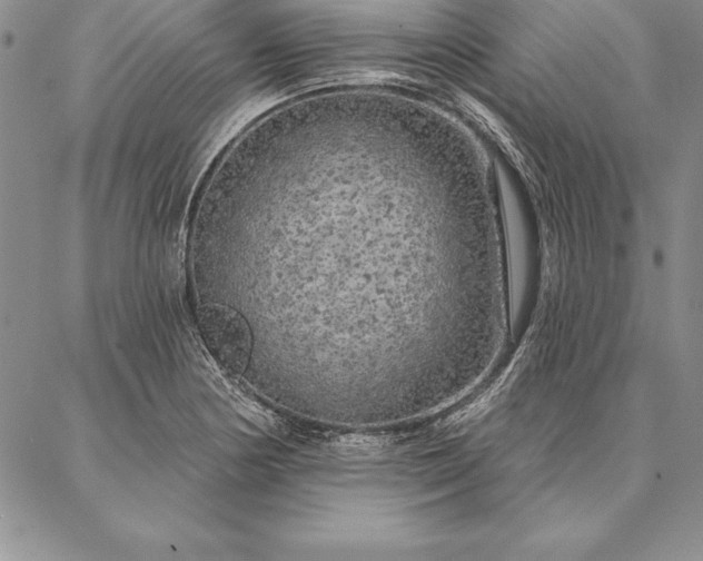 X0000087381178200704271550