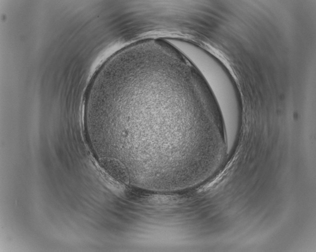 X0000087381179200704271550