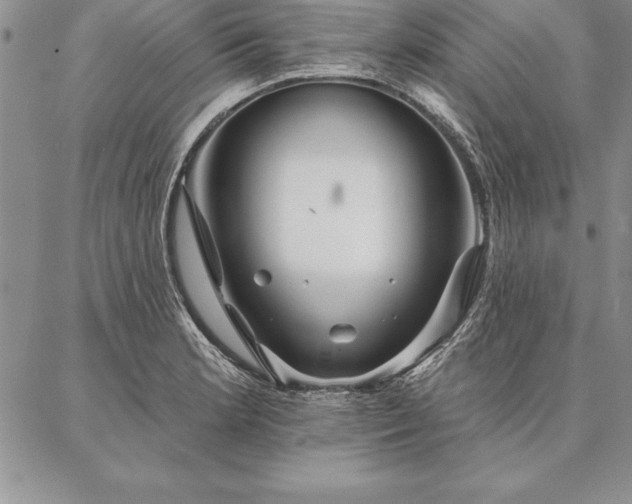 X0000087381181200704271550