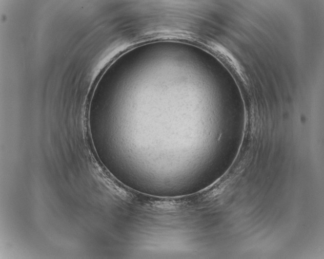 X0000087381182200704271550