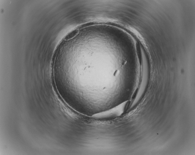 X0000087381183200704271549