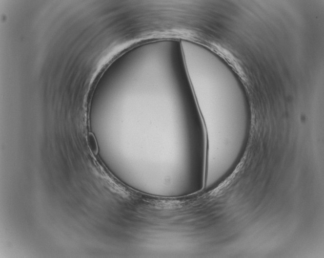 X0000087381184200704271549