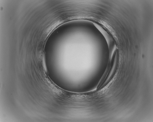 X0000087381185200704271549